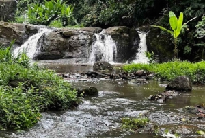 Waterfall with coffee, pineapple + coconut