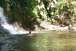 Waterfall with coffee, pineapple + coconut