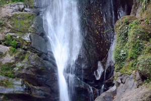Waterfall with coffee, pineapple + coconut
