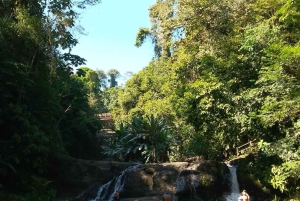 Waterfall with coffee, pineapple + coconut
