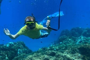 Uvita, Snorkeling Tour in Caño Island Biological Reserve