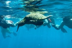 Uvita, Snorkeling Tour in Caño Island Biological Reserve