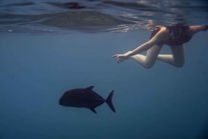 Whales Watching Adventure in Uvita with Expert Guides