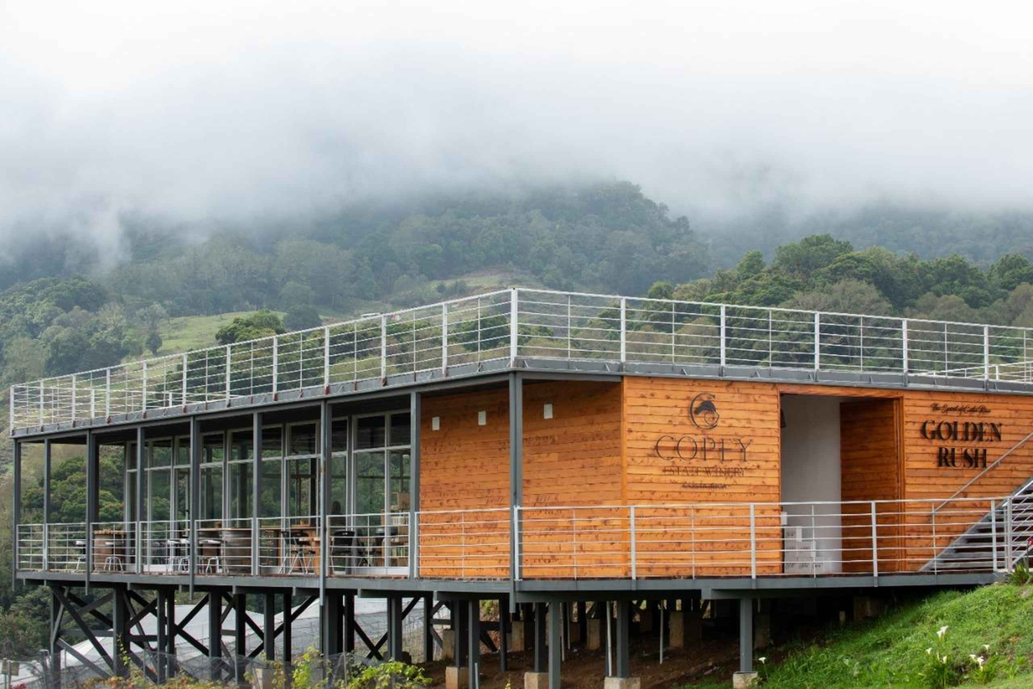 Wine Tour and Golden Rush