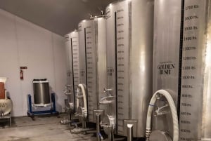 Visite des vignobles et ruée vers l'or