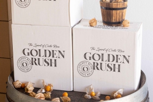 Wine Tour and Golden Rush