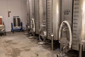 Wine Tour and Golden Rush