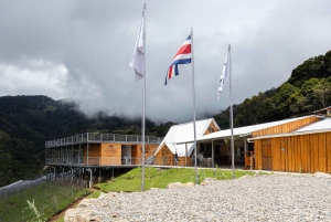 Wine Tour and Golden Rush