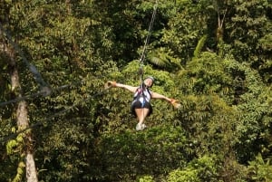 Zipline-tour in Braulio Carrillo National Park vanuit San José