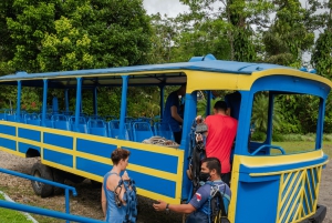Ziplining & Horseback ride in La Fortuna