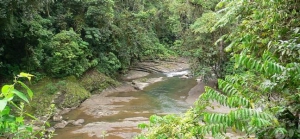 Barbilla National Park