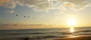 Beaches - Central Pacific Region