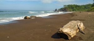 Beaches - Central Pacific Region