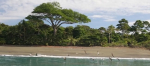 Beaches - North Caribbean Region