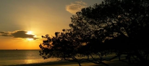 Beaches - North Pacific Region