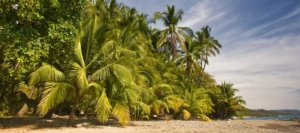 Beaches - South Pacific Region