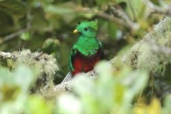 Birds and Best Birdwatching