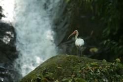 Birds and Best Birdwatching