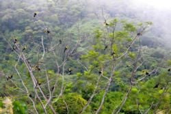 Birds and Best Birdwatching