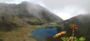 Chirripo National Park