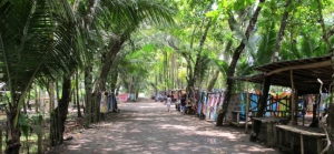 Dominical - Surfers Paradise