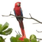 Getting to Know Costa Rica