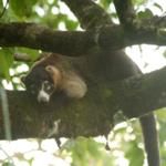 Getting to Know Costa Rica