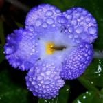 Getting to Know Costa Rica