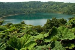 National Parks North Pacific Region