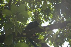 National Parks North Pacific Region