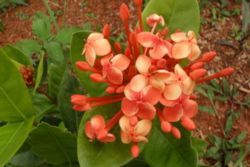 National Parks North Pacific Region