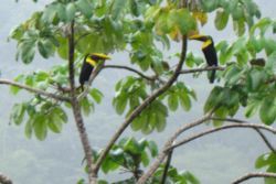 National Parks North Pacific Region