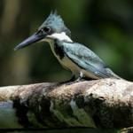 National Parks of Costa Rica 