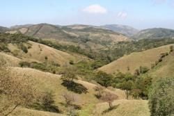 North Pacific Region