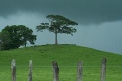 North Pacific Region