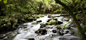 Ojochal - Simply Charming