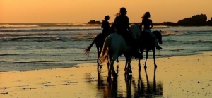 Portero - Information