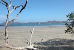 Tamarindo Information