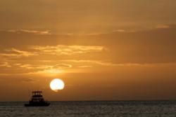 Tamarindo Information