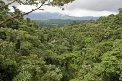 Welcome to Costa Rica