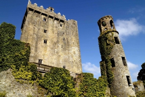6-Day Tour of Southern Ireland from Dublin