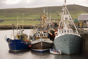 6-Day Tour of Southern Ireland from Dublin