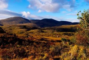 6-Day Tour of Southern Ireland from Dublin