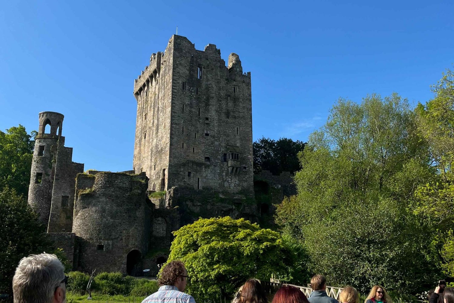 Castello di Blarney e città di Cork: tour privato in taxi.
