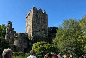 Castello di Blarney e città di Cork: tour privato in taxi.