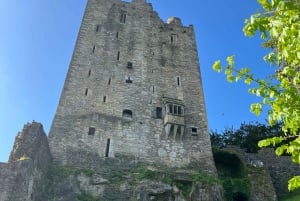 Castello di Blarney e città di Cork: tour privato in taxi.