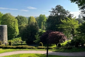 Castello di Blarney e città di Cork: tour privato in taxi.