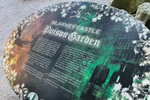 Castello di Blarney e città di Cork: tour privato in taxi.