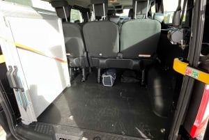 Castello di Blarney e città di Cork: tour privato in taxi.