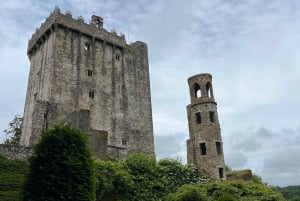 Castello di Blarney e città di Cork: tour privato in taxi.
